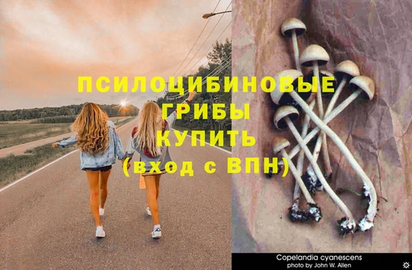 дмт Баксан