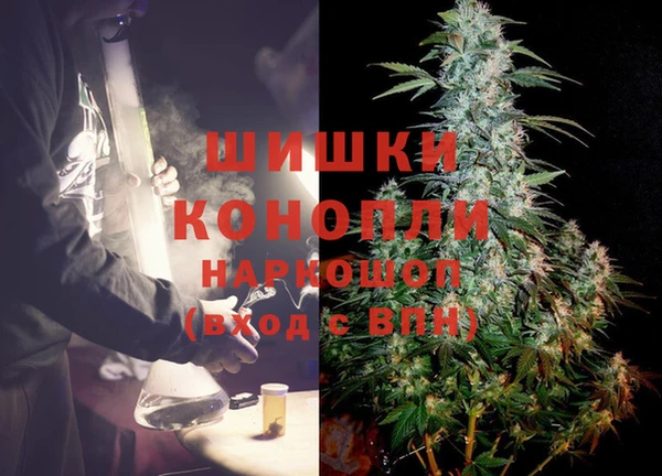 крисы Балахна