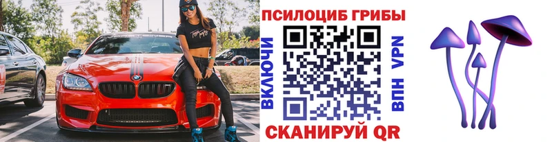 Галлюциногенные грибы GOLDEN TEACHER  купить закладку  Перевоз 